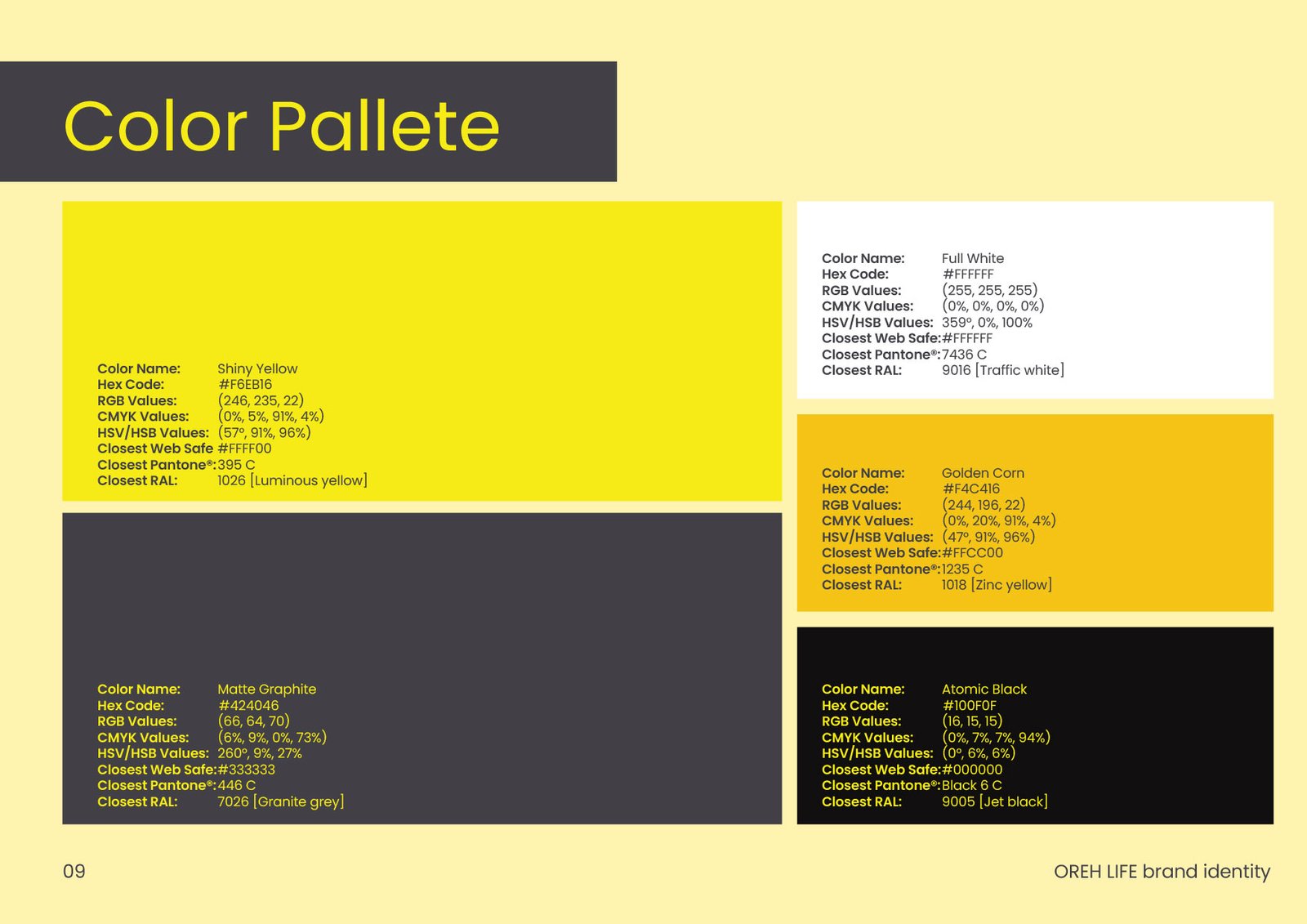 Project Visual 11